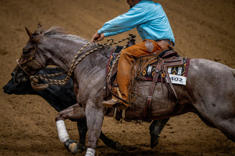 DSC_6937-Enhanced-NR