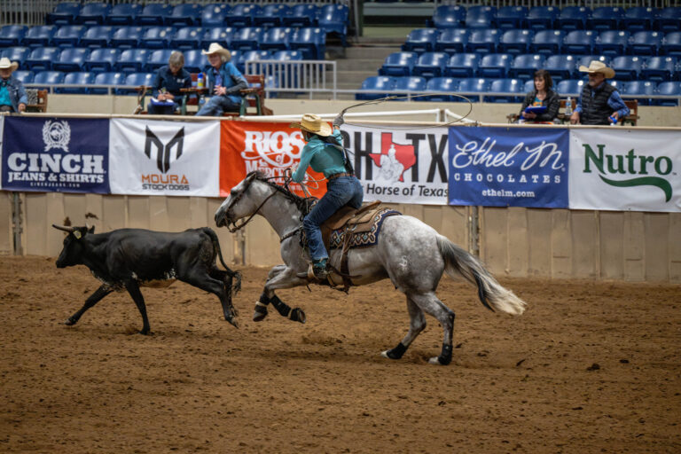 DSC_8727-Enhanced-NR-1